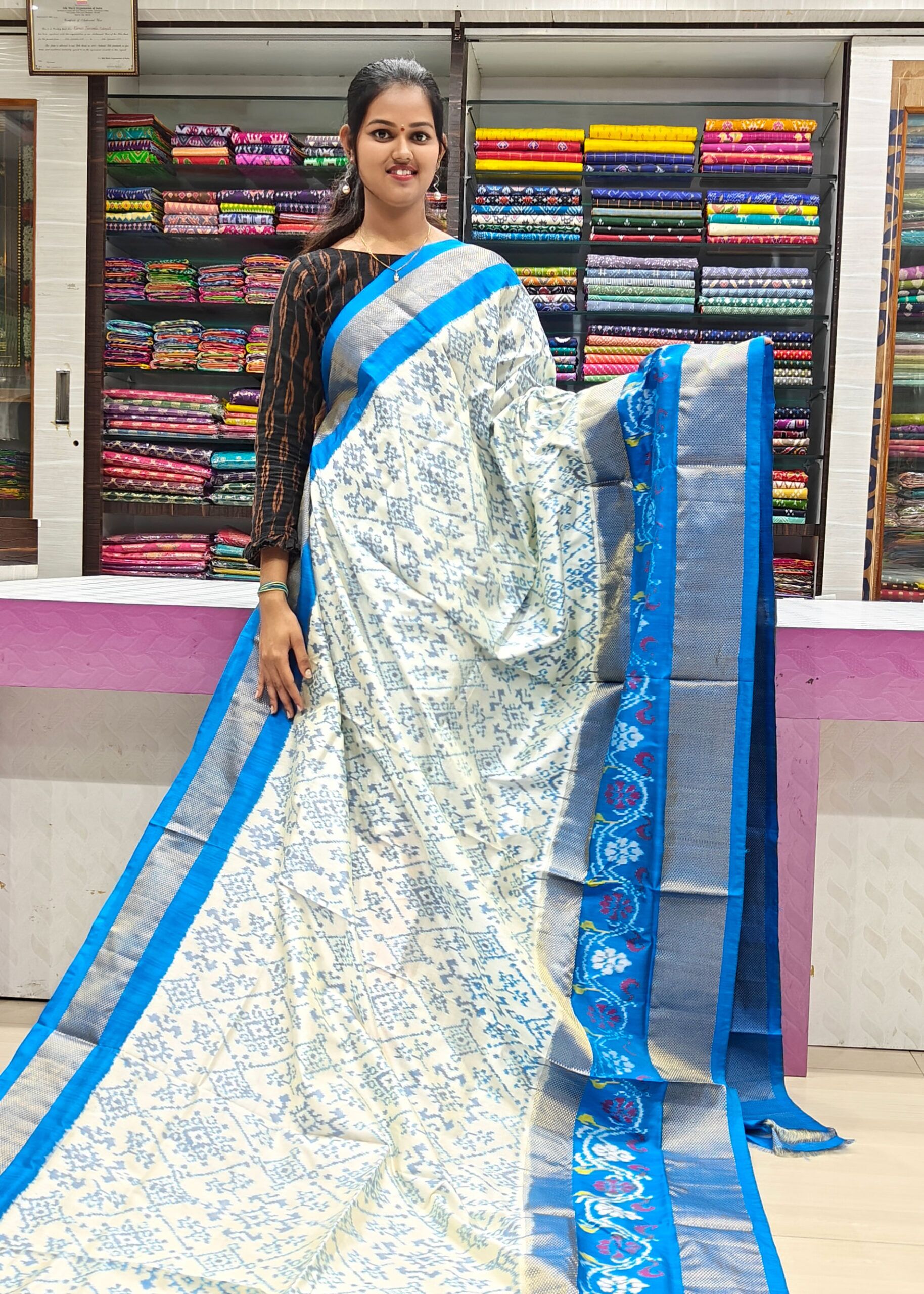 Pochampally Ikkat Break Border Sarees